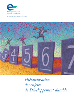 Hiérarchisation des enjeux de développement durable – 2004