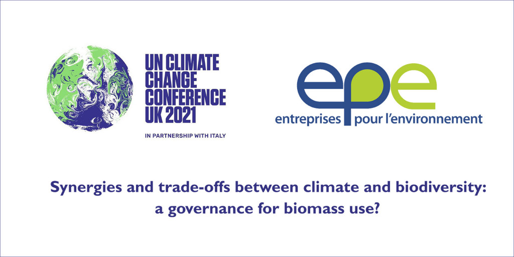 cop26-biomass-2