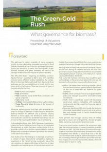The Green-Gold Rush: What governance for biomass?