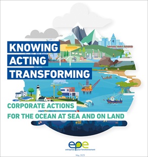 Knowing, acting, transforming: Corporate actions for the ocean, at sea and on land